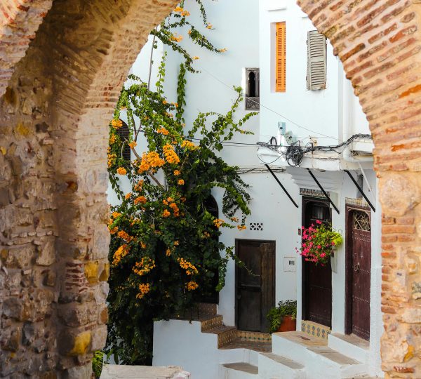 Luxury Travel Agency in Tangier: Your Exclusive Partner for Personalized Experiences 1 A tour of Tangier with the best private guides is a wonderful experience that our travel agency can offer you.