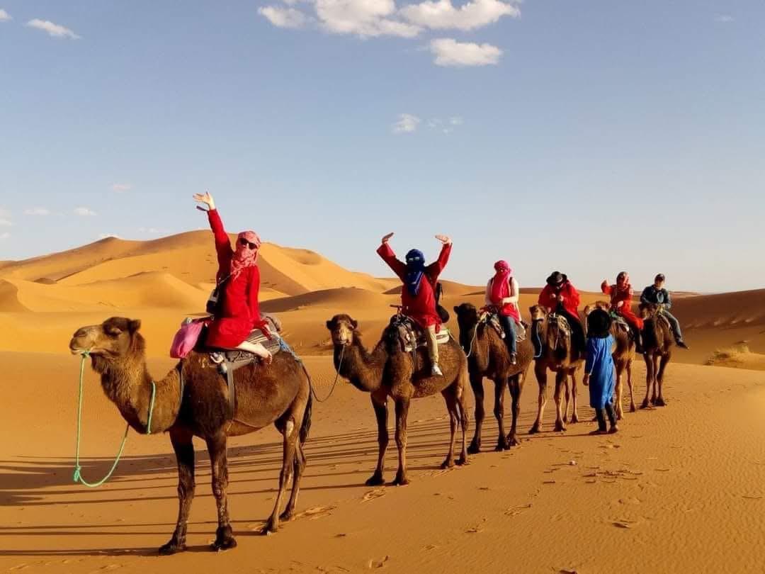 Your Next Experience Awaits You 24 Camel Trekking