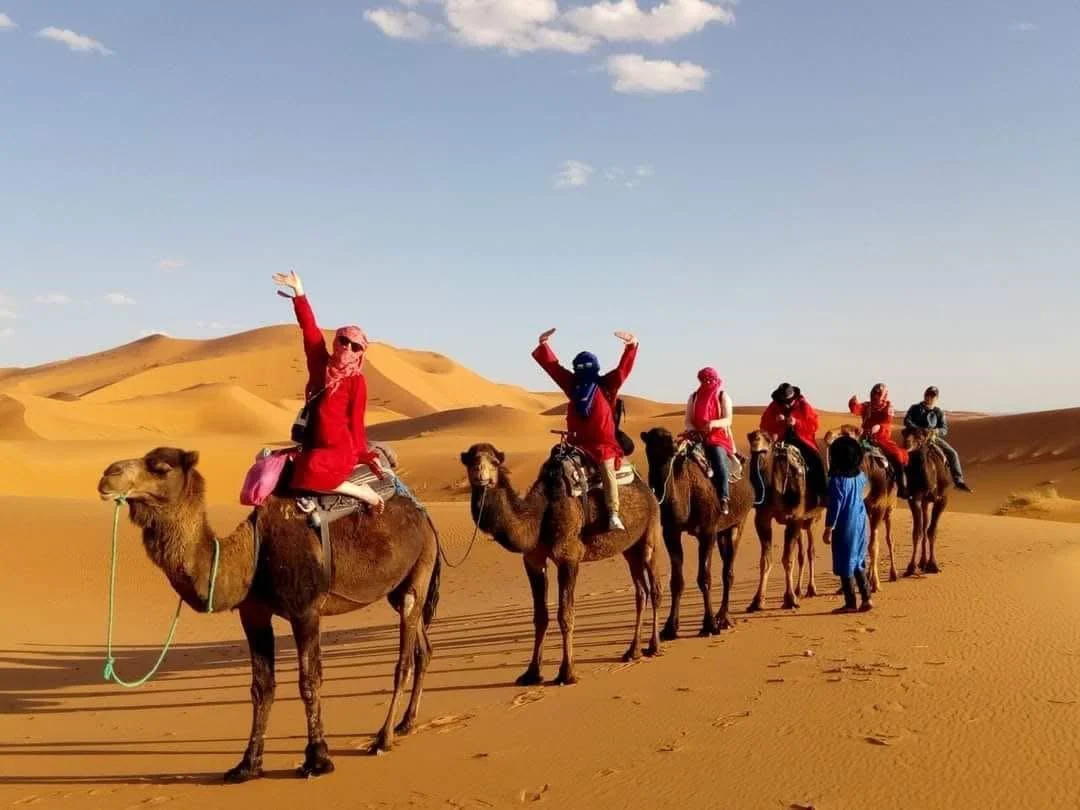 Camel Trekking