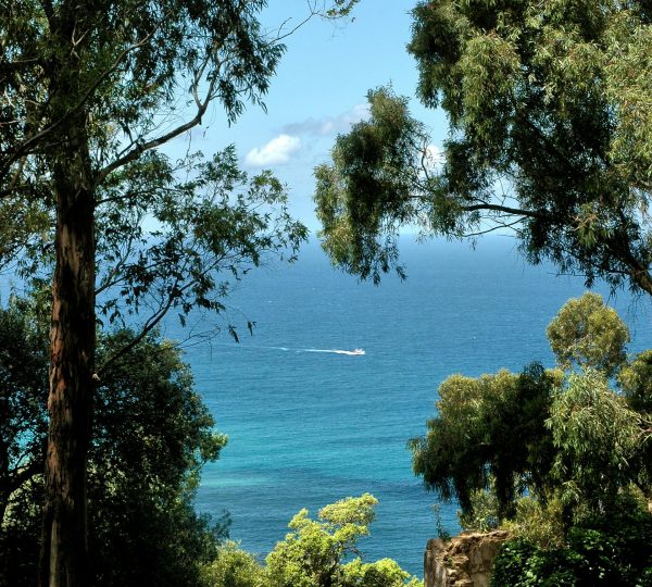 Best time to visit Tangier: spring and fall, golden light. Enjoy luxury Experience in Tangier.