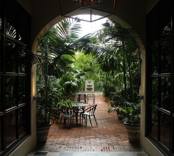 Private garden to enjoy in a special place. Enjoy your Boutique Accommodation in Tangier.