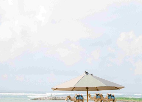 The Private Excursions in Tangier : The Most Fascinating Experiences