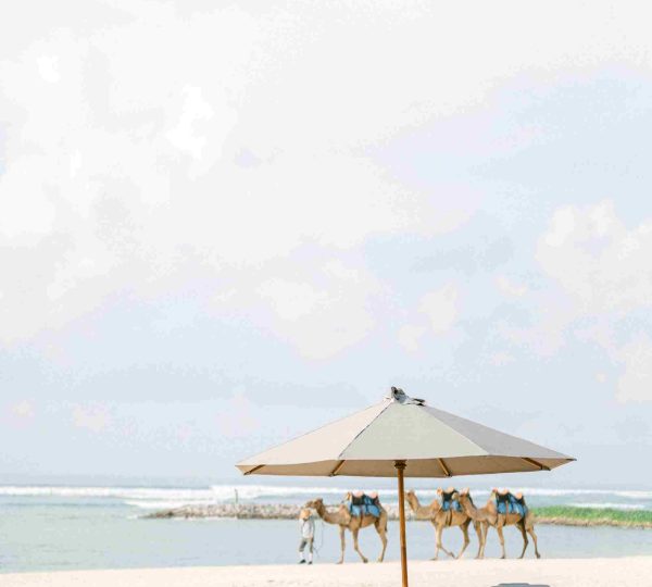 camello tanger private experience