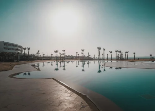 Organize your Incentive Trip to Tangier: The Definitive Guide for High-Level Companies